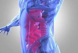 Colonoscopy and Endoscopy Center NYC