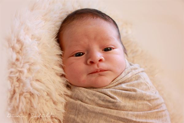 Dixie Sotillo Photography