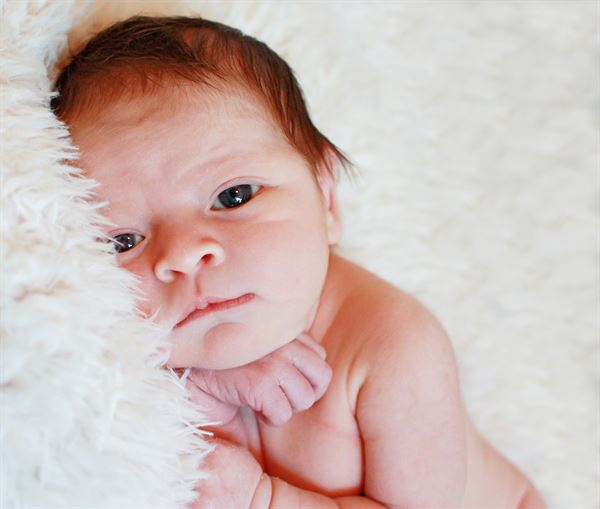 Dixie Sotillo Photography