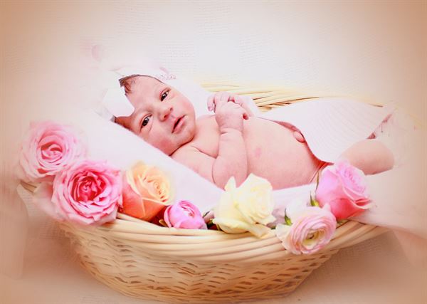 Dixie Sotillo Photography