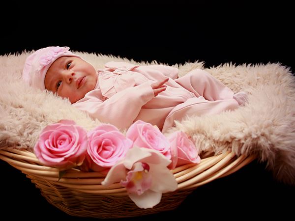 Dixie Sotillo Photography