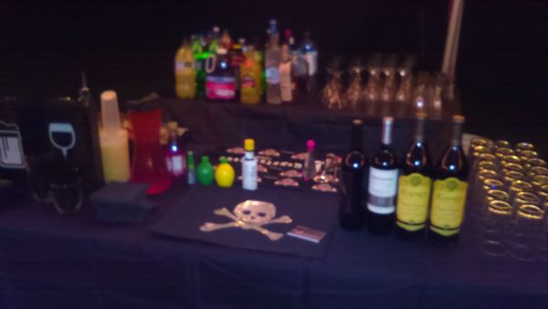 Pirate Debbie's Private Party Bartending and Event Staffing