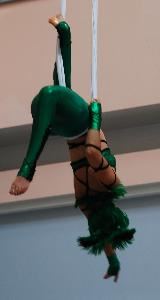 Asheville Aerial Arts