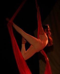 Asheville Aerial Arts