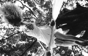 Asheville Aerial Arts