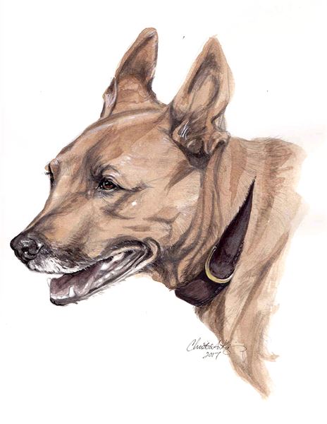 Christine Allen Kopin - Illustrator