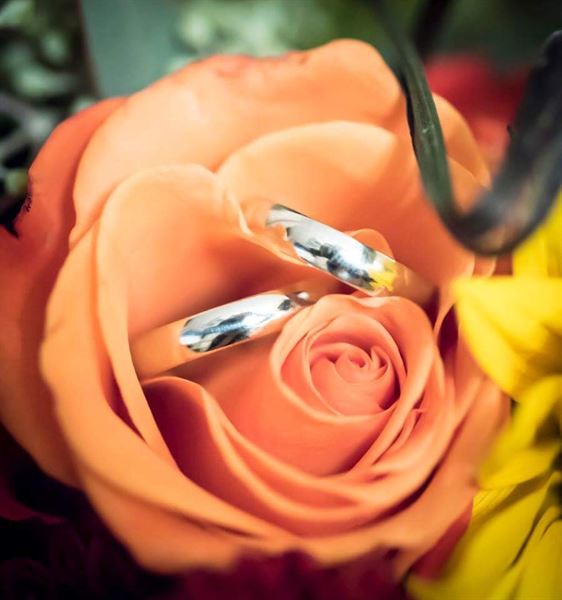 ErinBradenPhotography