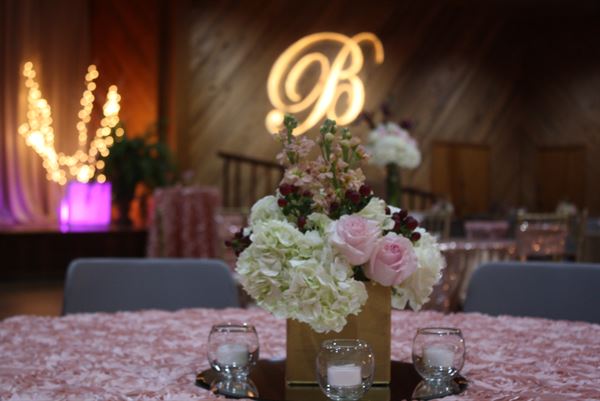 Mississippi Agriculture and Forestry Museum Facilities
