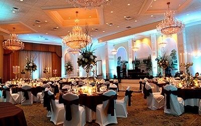 Wedding Photographer