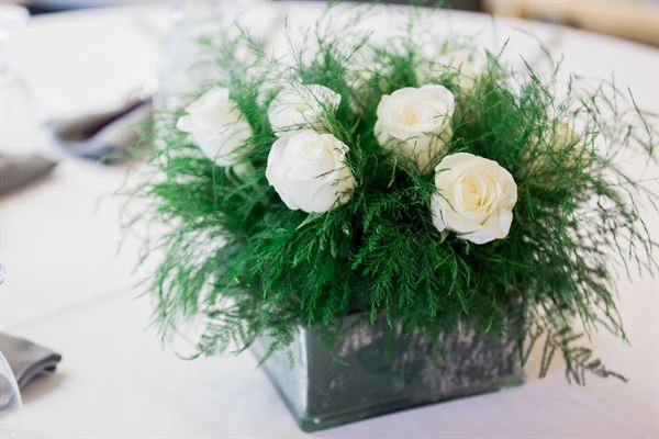 White Pine Ski Area and Resort