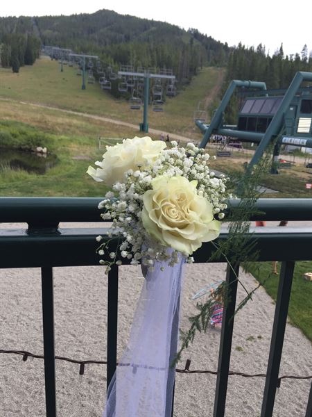 White Pine Ski Area and Resort