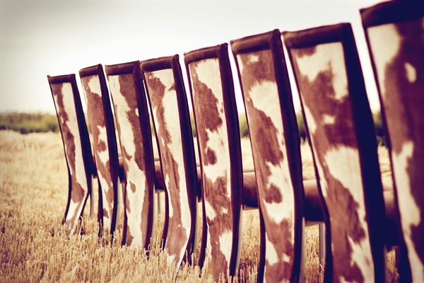 Special Event Rentals - Calgary