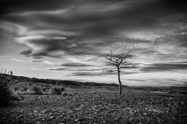 HD Event Photography