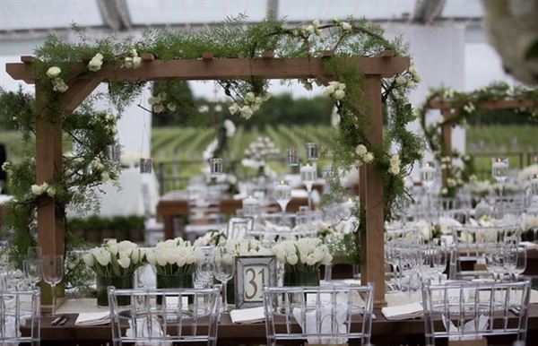 Shanell J Management