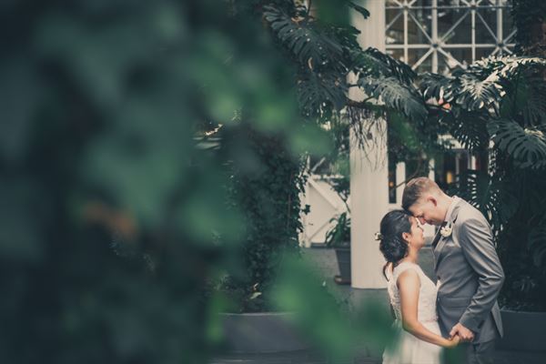 Vivid Photo and Video