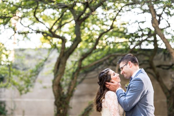 Vivid Photo and Video