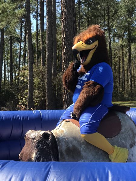 Bounce It Out Events