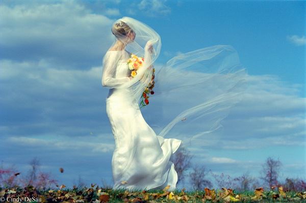 Cindy DeSau Photography