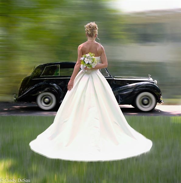 Cindy DeSau Photography