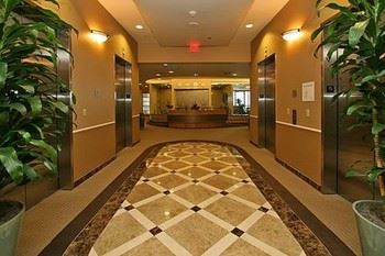 317 Virtual Services