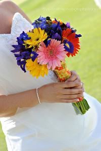 Audra Little Photography