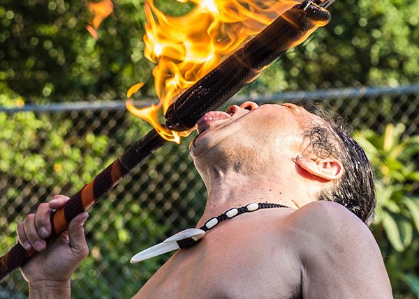 Hawaiian Entertainers