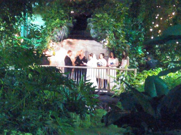 Ceremonies By Kristina / Project Heal