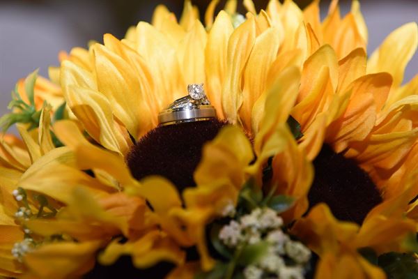 Good Vibrations - Photography