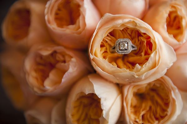 Sebrie Images - Cape Coral