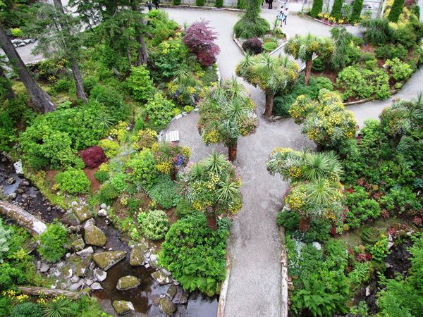 Glacier Gardens Rainforest Adventure