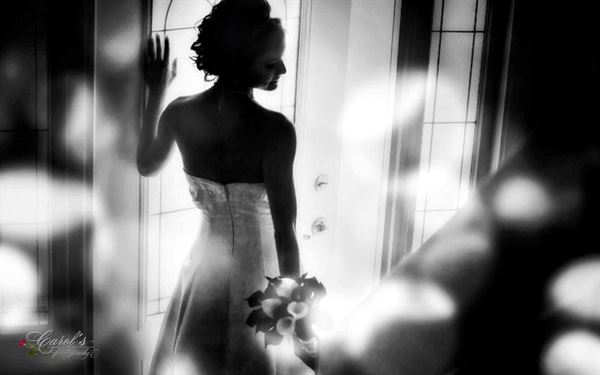 Carol's Photography
