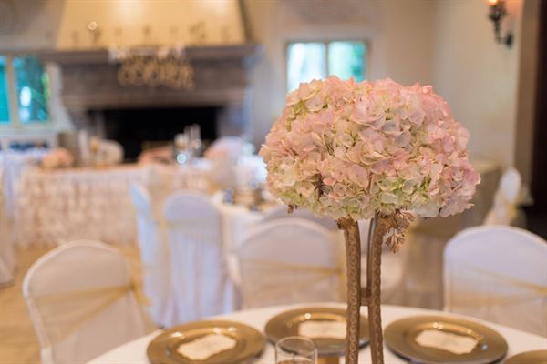 Premiere Event & Rentals Center