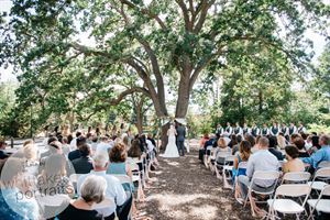 Landscape of Shadelands Ranch