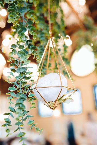 Wallflower Rentals & Decor