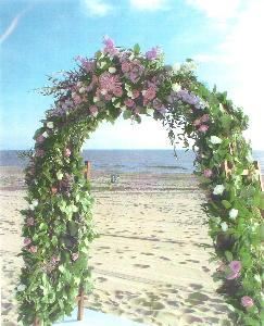 Bella Donna Special Events