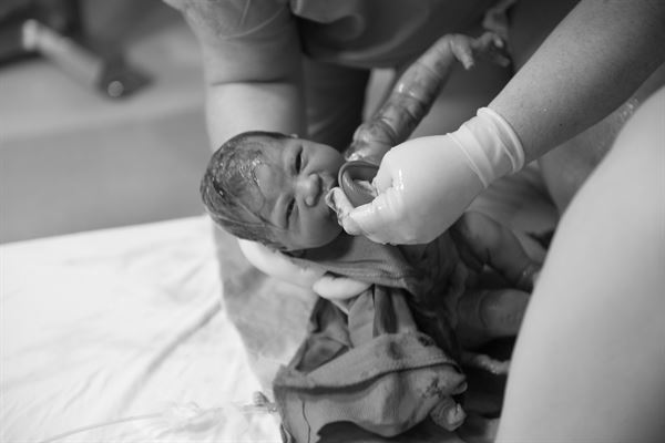 Alice Trask Photography