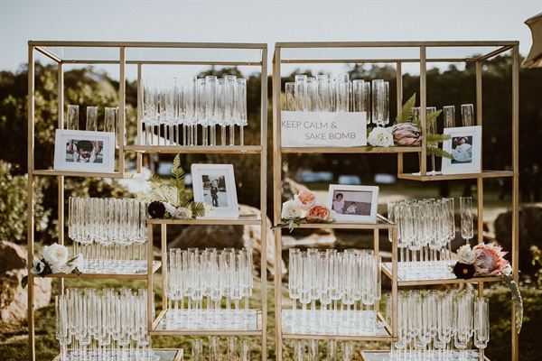 Premiere Party Rents