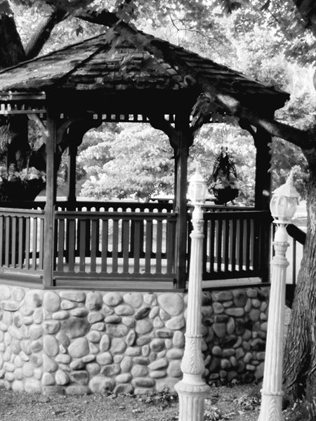 Chique Catering at The Meadow of Saucon Valley