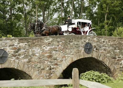 Chique Catering at The Meadow of Saucon Valley