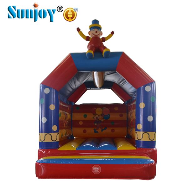 Sunjoy Inflatables