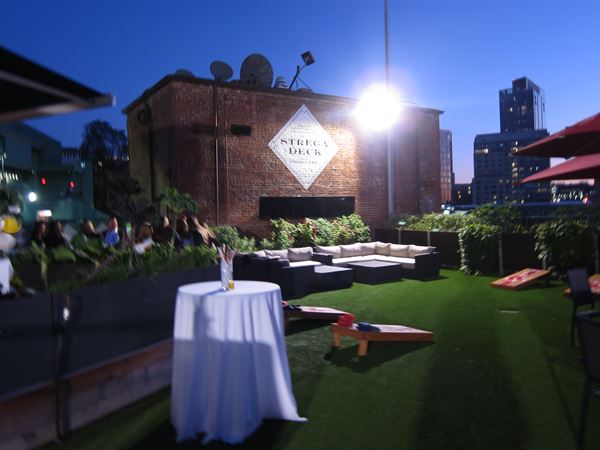 The Chocolate Fountain From In Blossom