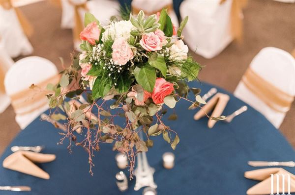 Romer's Catering & Entertainment - Celina