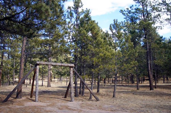 Lodge at Cathedral Pines