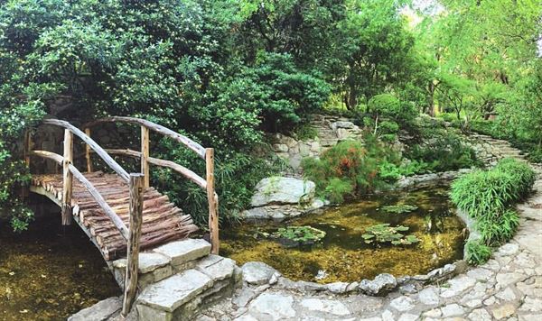 Zilker Botanical Garden