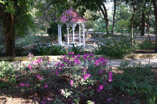 Zilker Botanical Garden