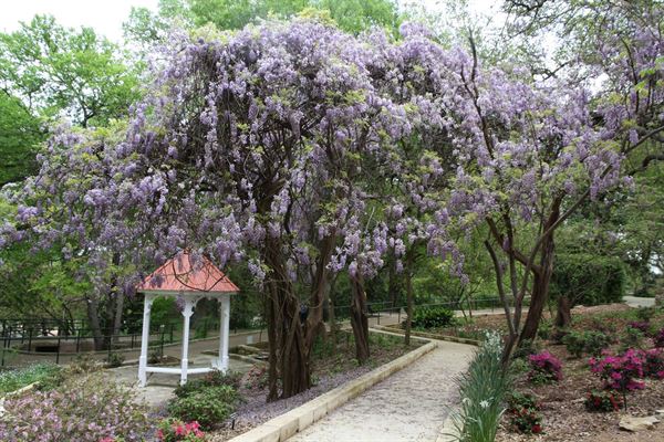 Zilker Botanical Garden