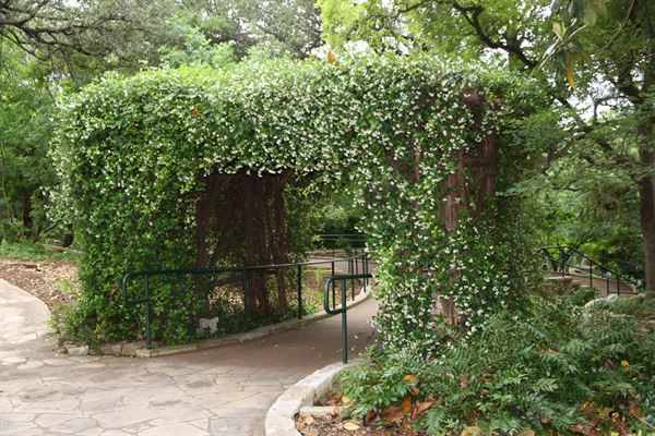 Zilker Botanical Garden