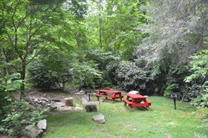Picnic Area