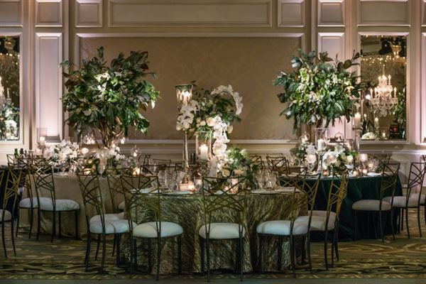 Perfectly Planned by Shari