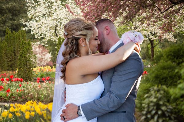 Dream Photography & Design